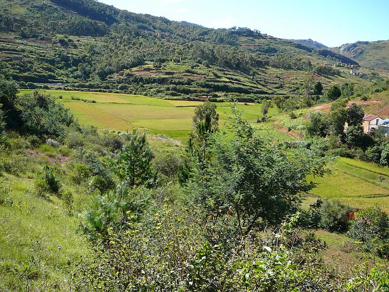 001 Madagascar countryside